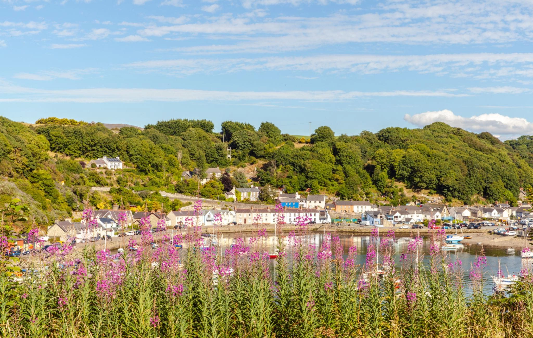 Fishguard lautta destination